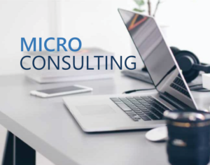 Micro Consulting